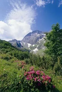 Casa vacanze Gaestehaus Danler *